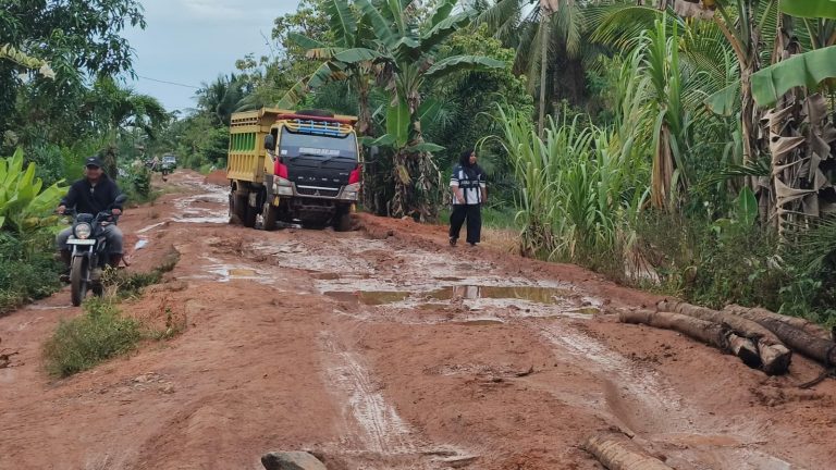 158be5db-16c9-4814-988e-98c690735daf